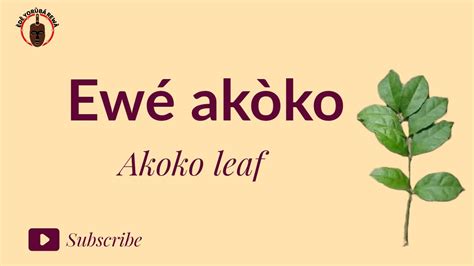 ewe akoko|ewe rekureku.